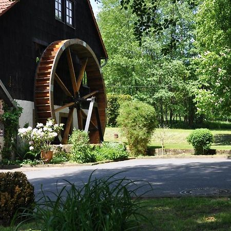 Landgasthof Geiersmuehle Vielbrunn Bagian luar foto